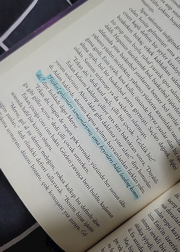 Asi Çakıltaşı 1 - Binnur Şafak - Görsel 4