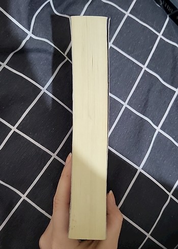 Asi Çakıltaşı 1 - Binnur Şafak - Görsel 7