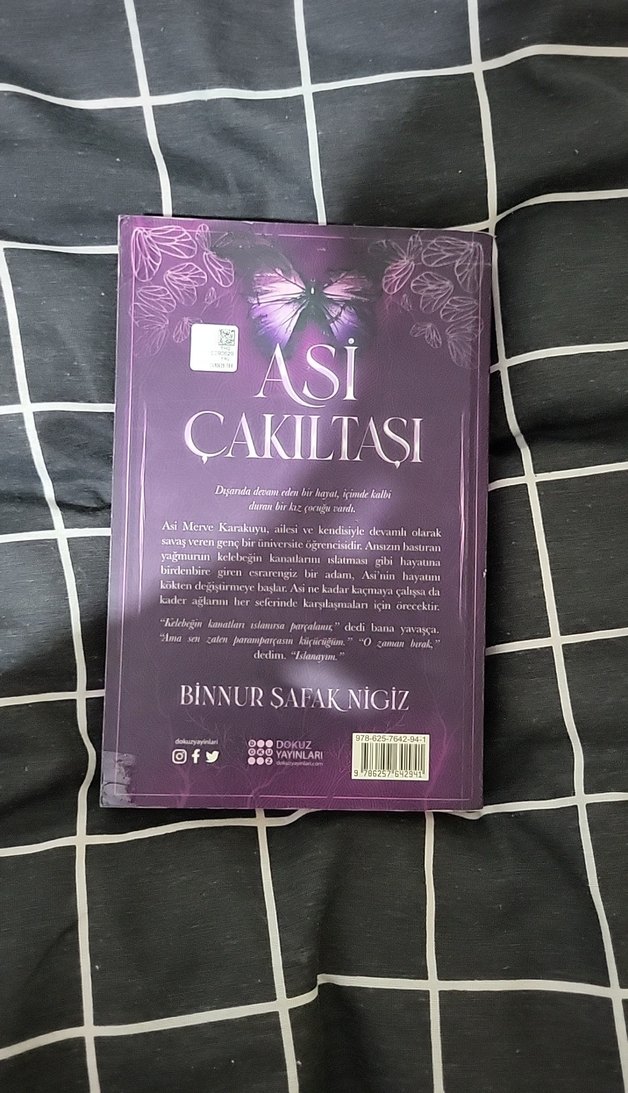 Asi Çakıltaşı 1 - Binnur Şafak - Görsel 3