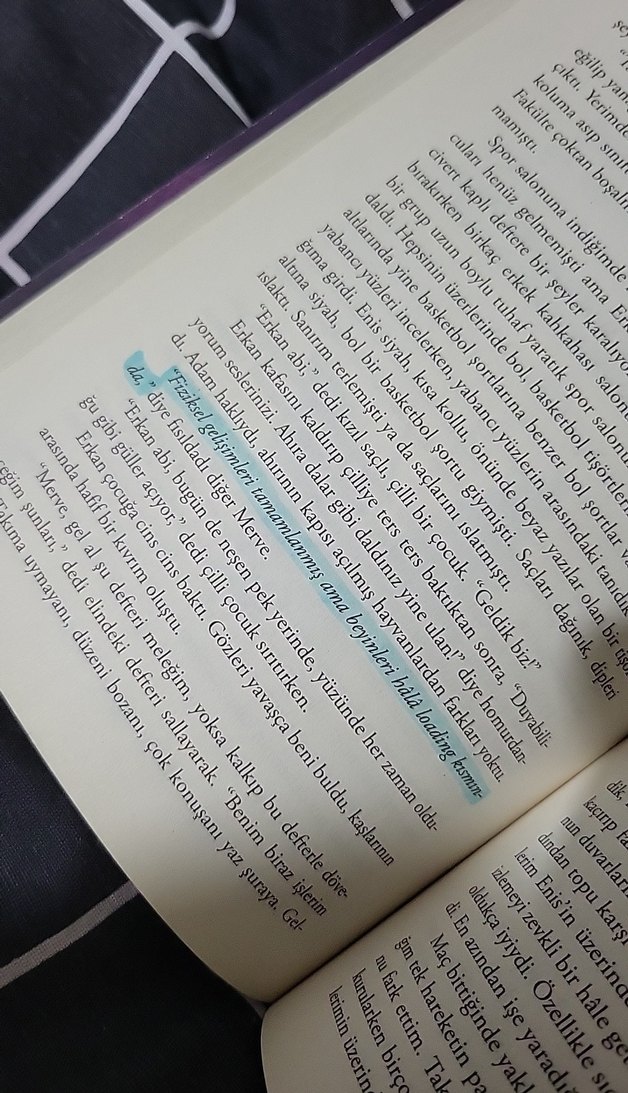 Asi Çakıltaşı 1 - Binnur Şafak - Görsel 4