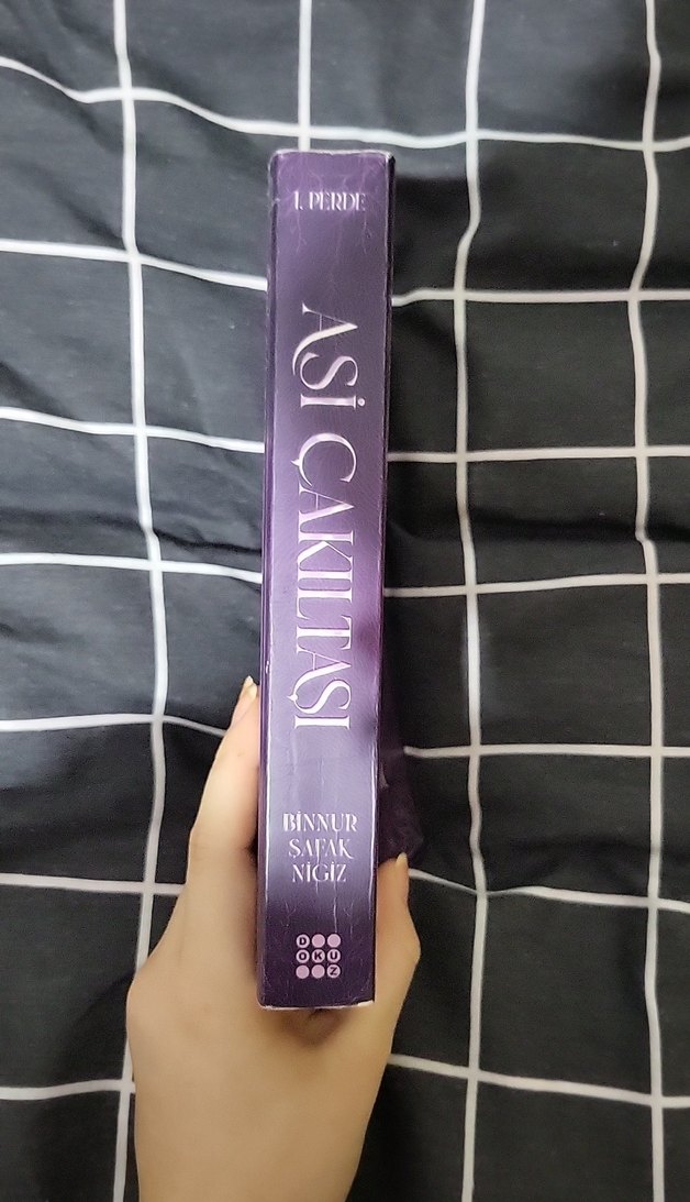 Asi Çakıltaşı 1 - Binnur Şafak - Görsel 2