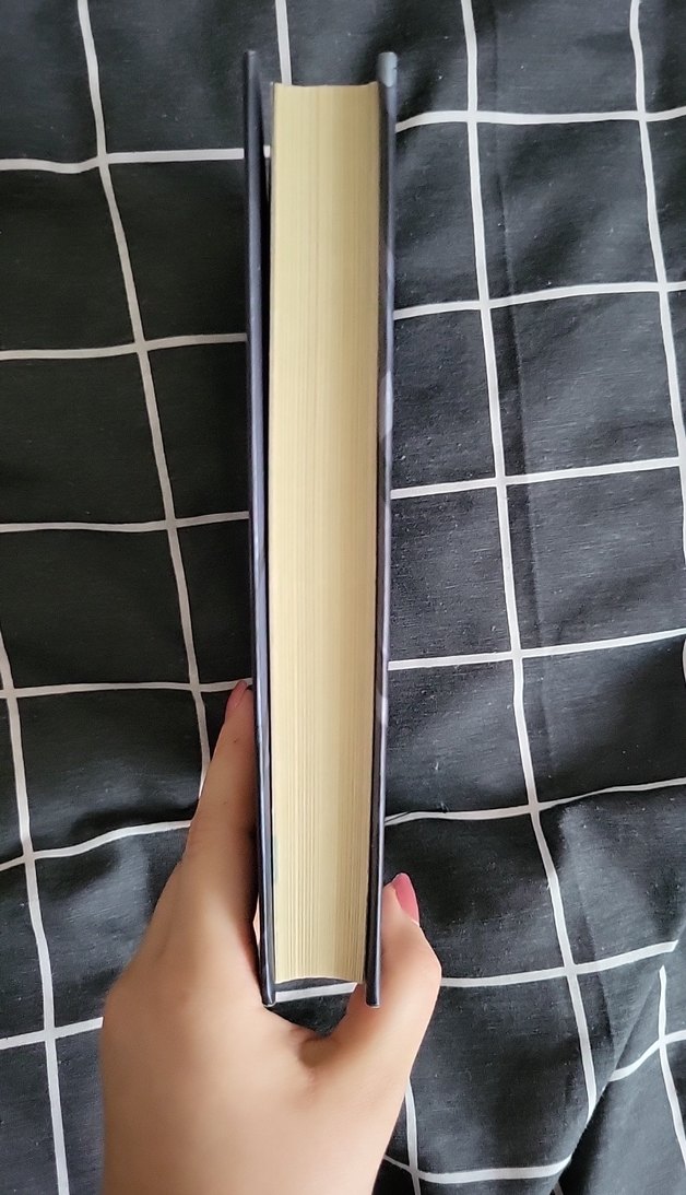 Kaybolmuş Ruhlar Sarayı 1 - Dilara Keskin - Görsel 4