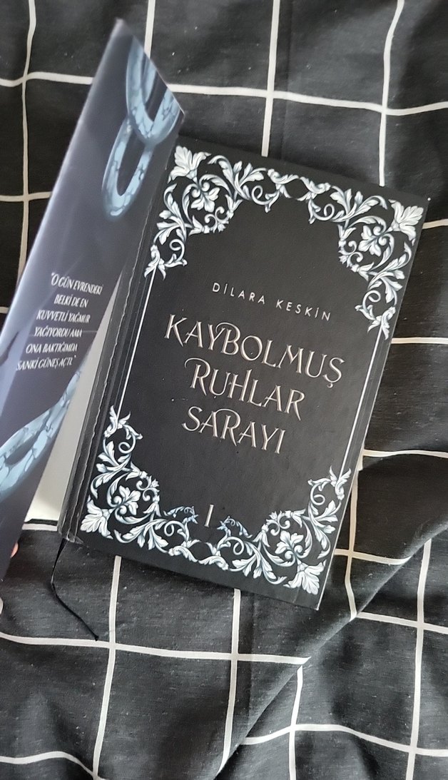 Kaybolmuş Ruhlar Sarayı 1 - Dilara Keskin - Görsel 5