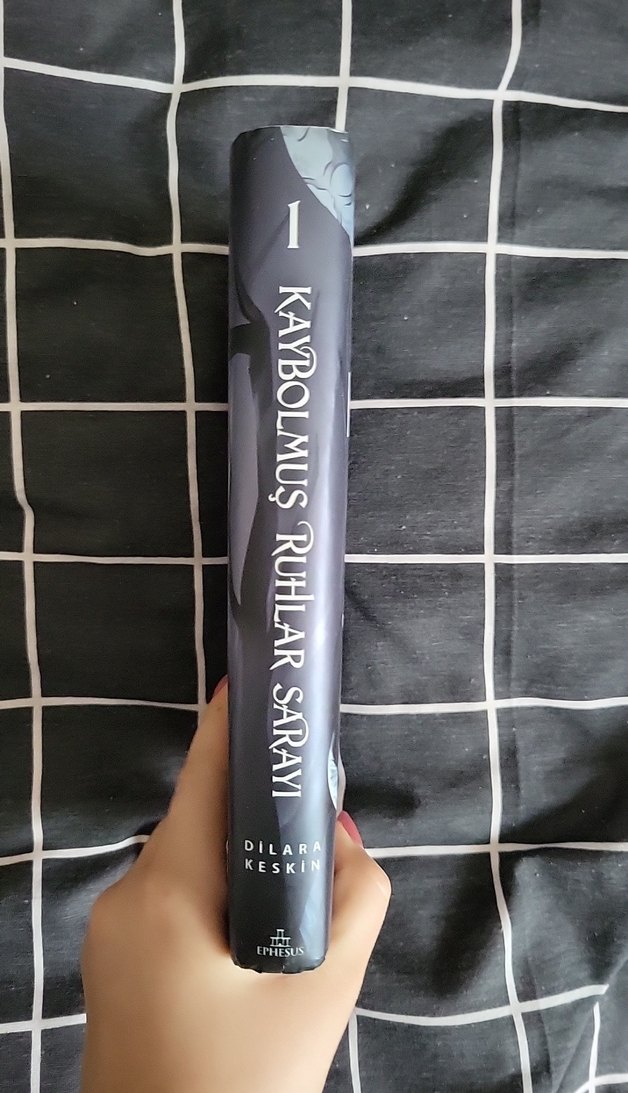 Kaybolmuş Ruhlar Sarayı 1 - Dilara Keskin - Görsel 2