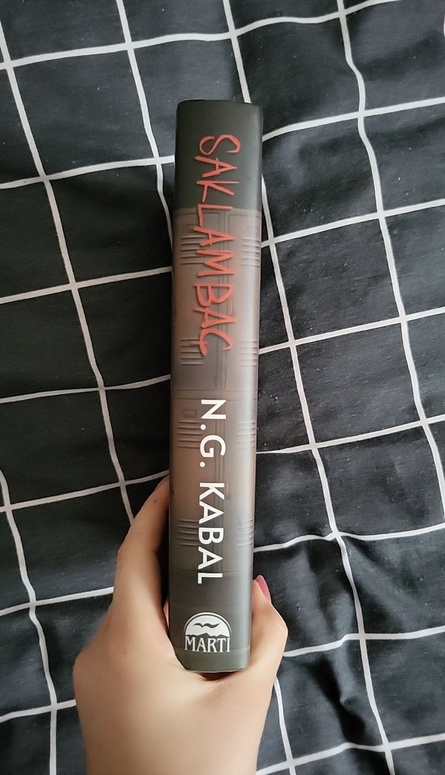 Saklambaç - N.G. Kabal - Görsel 2