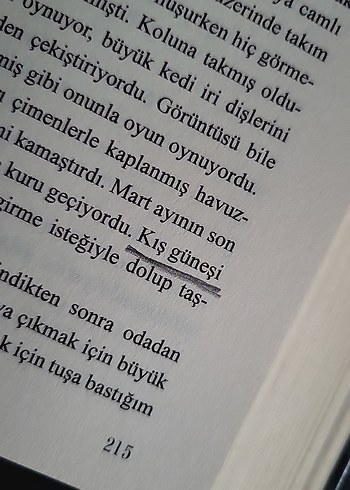 Bronz 1 - Özge Naz - Görsel 4