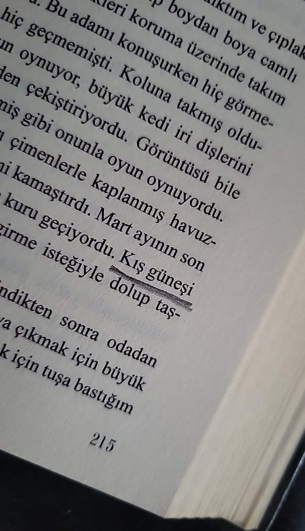 Bronz 1 - Özge Naz - Görsel 4