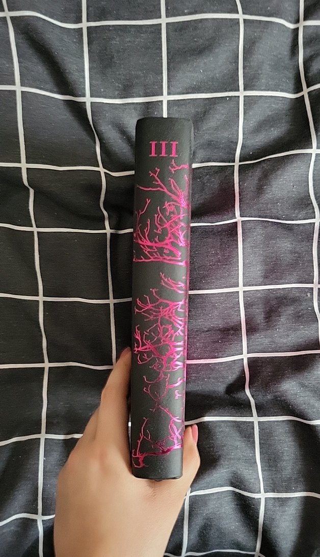 Yaralasar 3 ciltli - Görsel 2