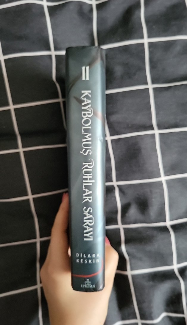 Kaybolmuş Ruhlar Sarayı 2 - Dulara Keskin - Görsel 2