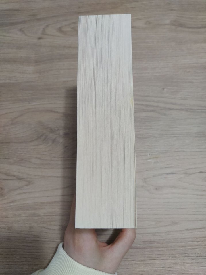 Notre-Dame'in Kamburu - Victor Hugo - Görsel 3