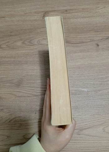 Livaneli - Mutluluk Romanı - Görsel 3