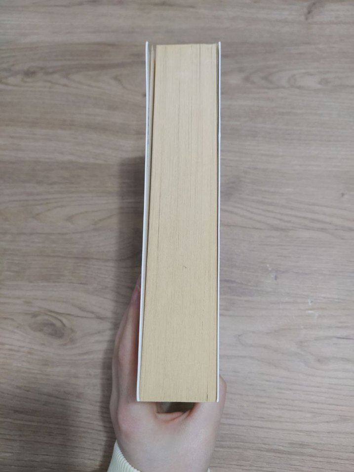 Peter Pan Ölmelı Sus - John Verdon - Görsel 2