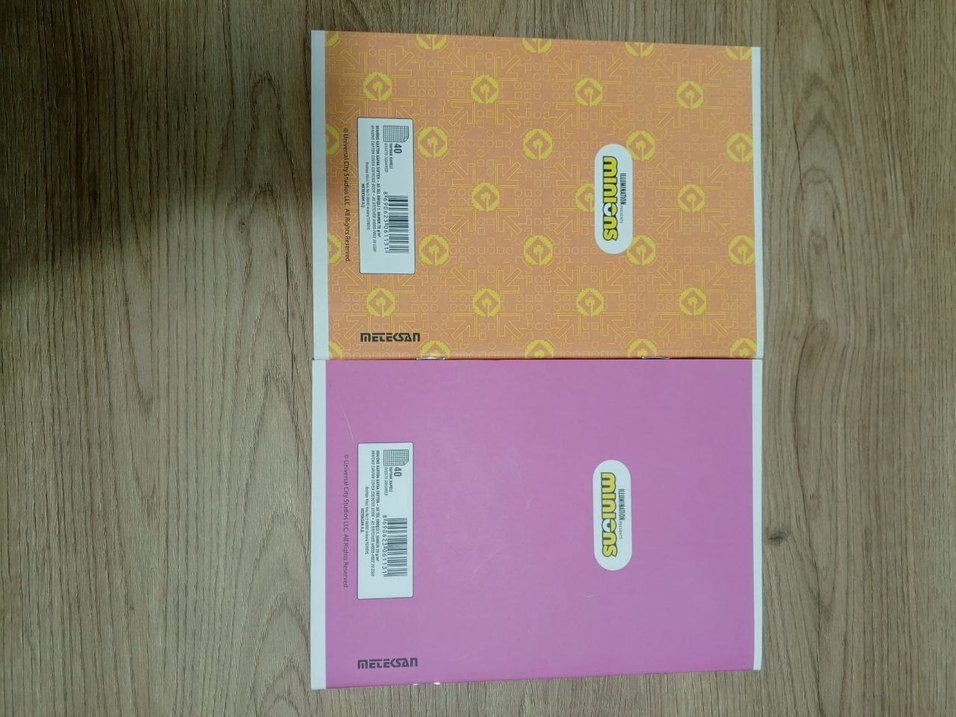 Renkli Minyonlar Temalı 2'li Defter Seti - Görsel 2