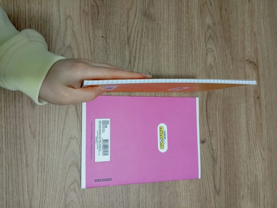 Renkli Minyonlar Temalı 2'li Defter Seti - Görsel 3