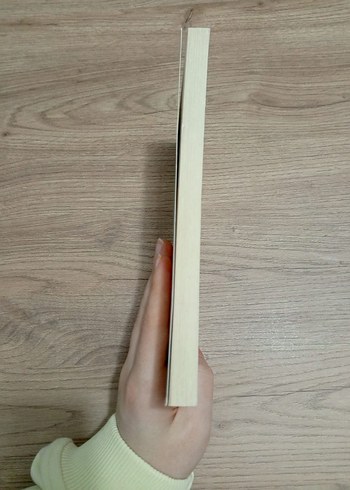 Yeraltından Notlar - Fyodor Dostoyevski - Görsel 3