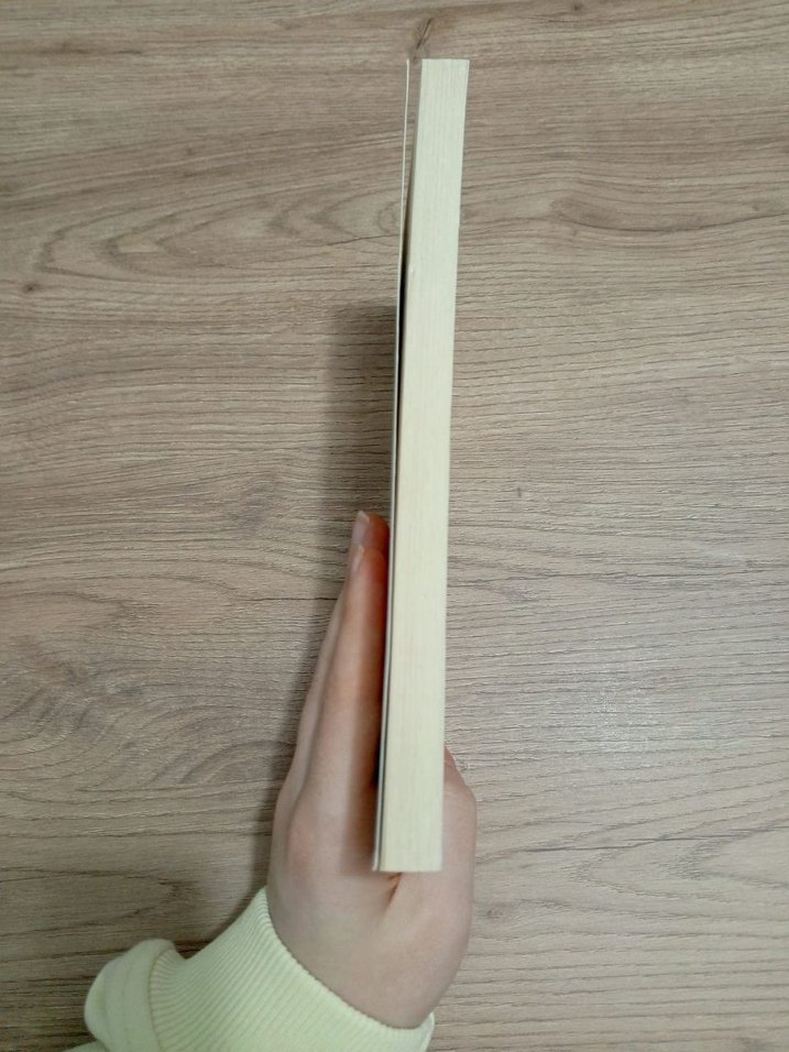 Yeraltından Notlar - Fyodor Dostoyevski - Görsel 3