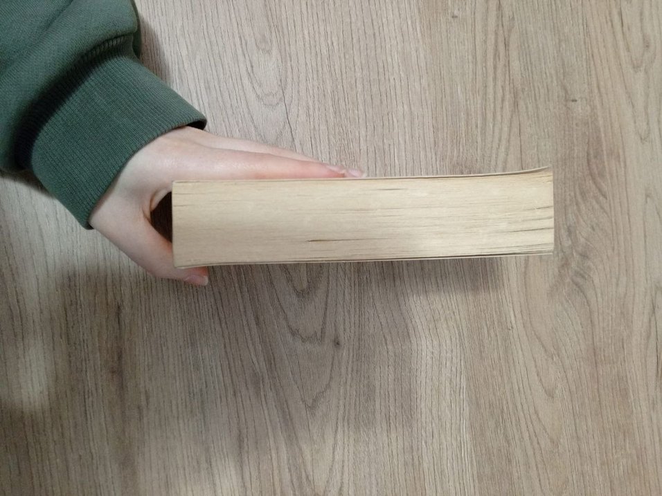 İz - Canan Tan - Görsel 3