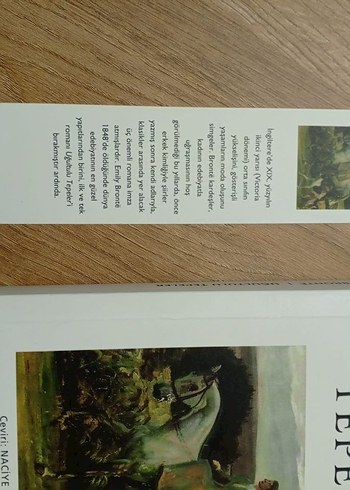 Üğültülü Tepeler - Emily Brontë - Görsel 6