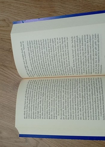 Üğültülü Tepeler - Emily Brontë - Görsel 5