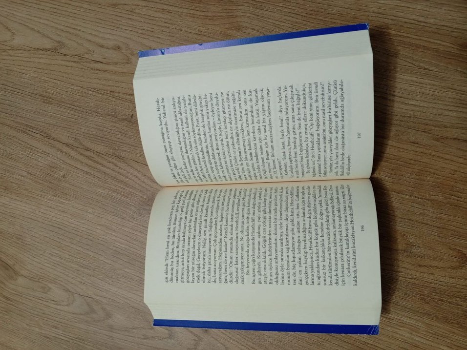 Üğültülü Tepeler - Emily Brontë - Görsel 5