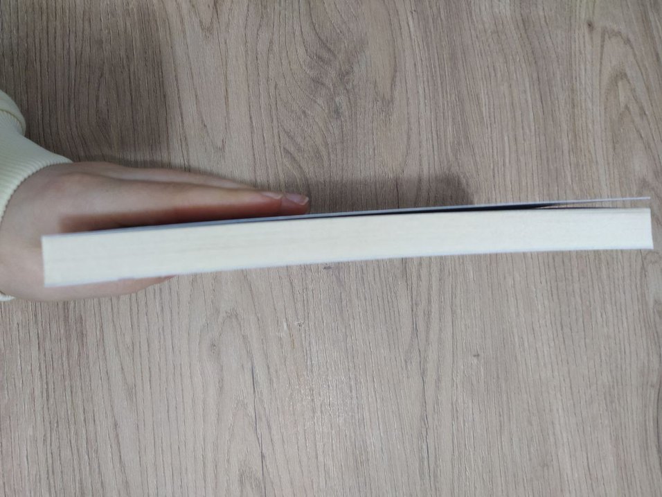 Mahkumun Son Günü Romanı - Görsel 4