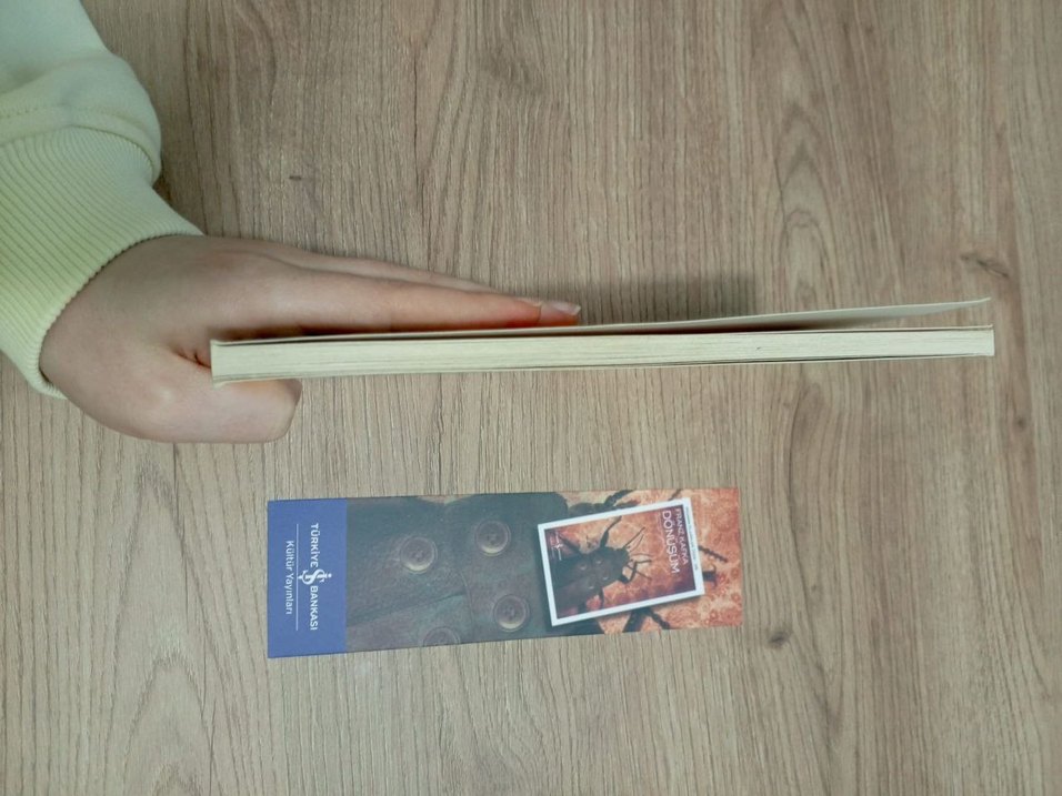 Dönüşüm - Franz Kafka - Görsel 3