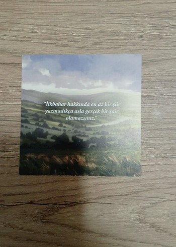 Emily Romanı - L. M. Montgomery - Görsel 4