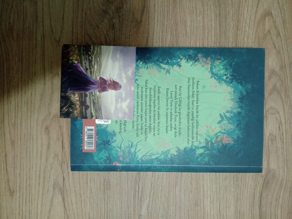 Emily Romanı - L. M. Montgomery - Görsel 2