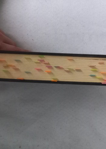 Açık yarakar ve dikiş izleri- beyza aksoy - Görsel 3