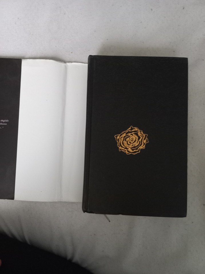 Açık yarakar ve dikiş izleri- beyza aksoy - Görsel 5