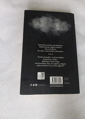 Ruh Kadehi Siyah Kuğu - Beyza Aksoy - Görsel 2