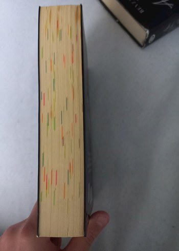 Siyah Kuğu I - Beyza Aksoy - Görsel 3