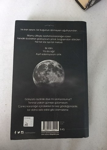 Siyah Kuğu I - Beyza Aksoy - Görsel 2