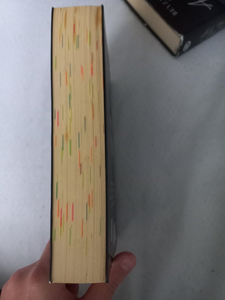 Siyah Kuğu I - Beyza Aksoy - Görsel 3