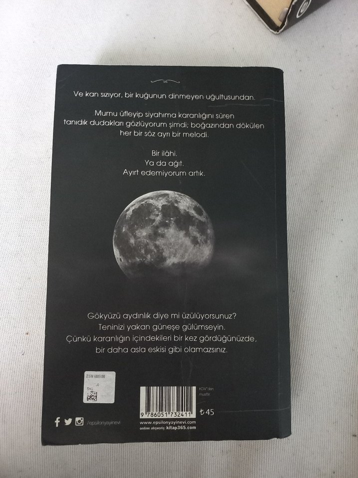 Siyah Kuğu I - Beyza Aksoy - Görsel 2