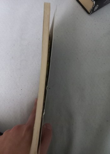 Şeytanın Yasak Aşkı - H. D. Carlton - Görsel 3