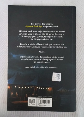 Şeytanın Yasak Aşkı - H. D. Carlton - Görsel 2