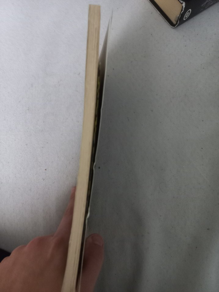 Şeytanın Yasak Aşkı - H. D. Carlton - Görsel 3