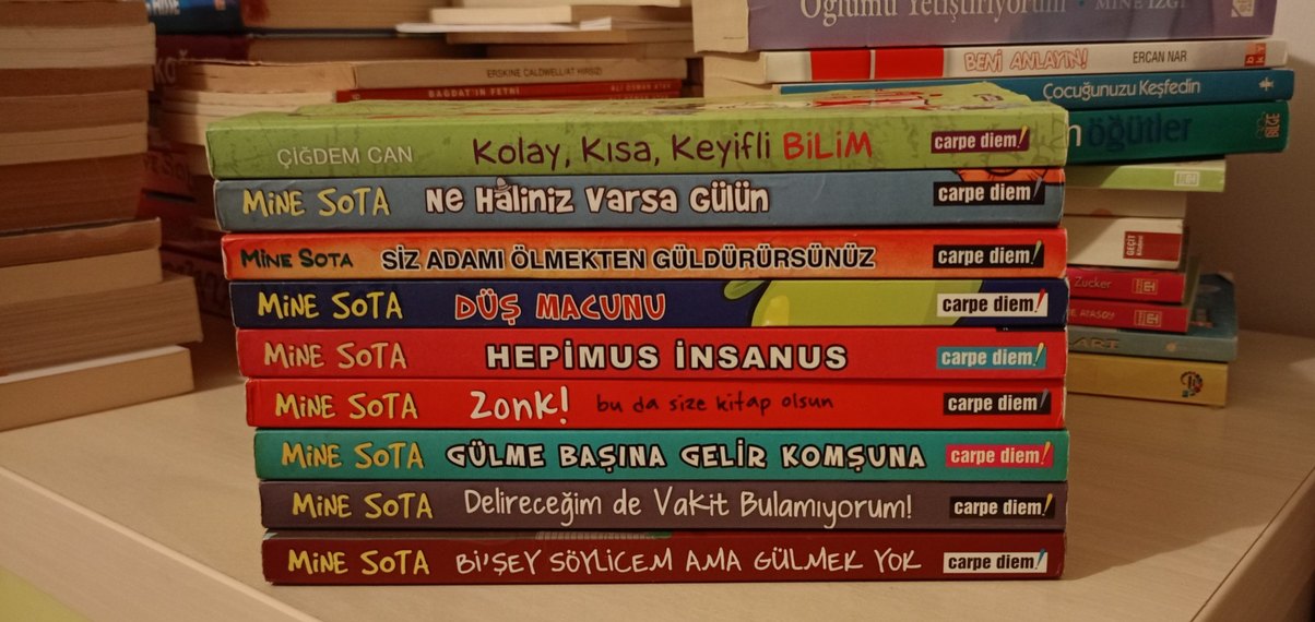 Mine Sota Çocuk-Genç Kitapları Seti - Görsel 2