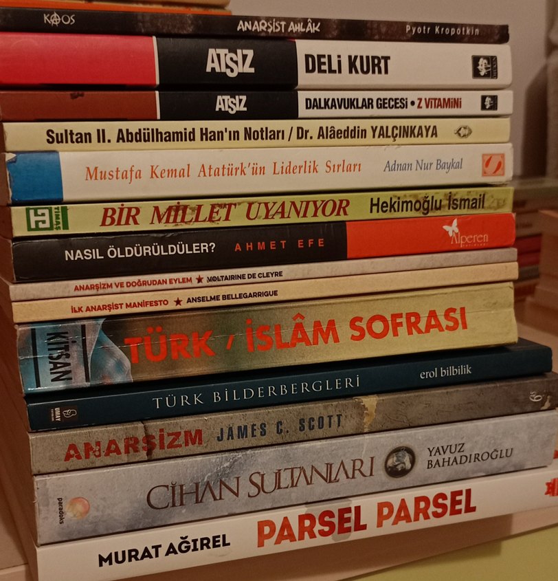 Toplumsal ve Politik Kitaplar Seti - Görsel 2