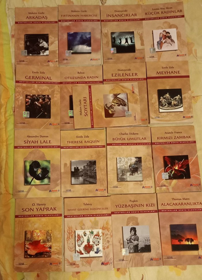 Klasik Yabancı Edebiyat Kitapları Seti | 17 Klasik Roman - Görsel 2