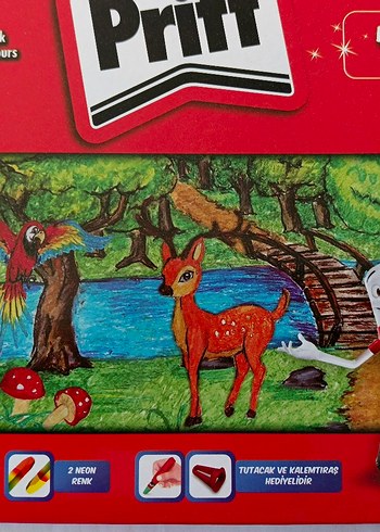 Pritt 24 Renk Pastel Boya Seti - Görsel 5