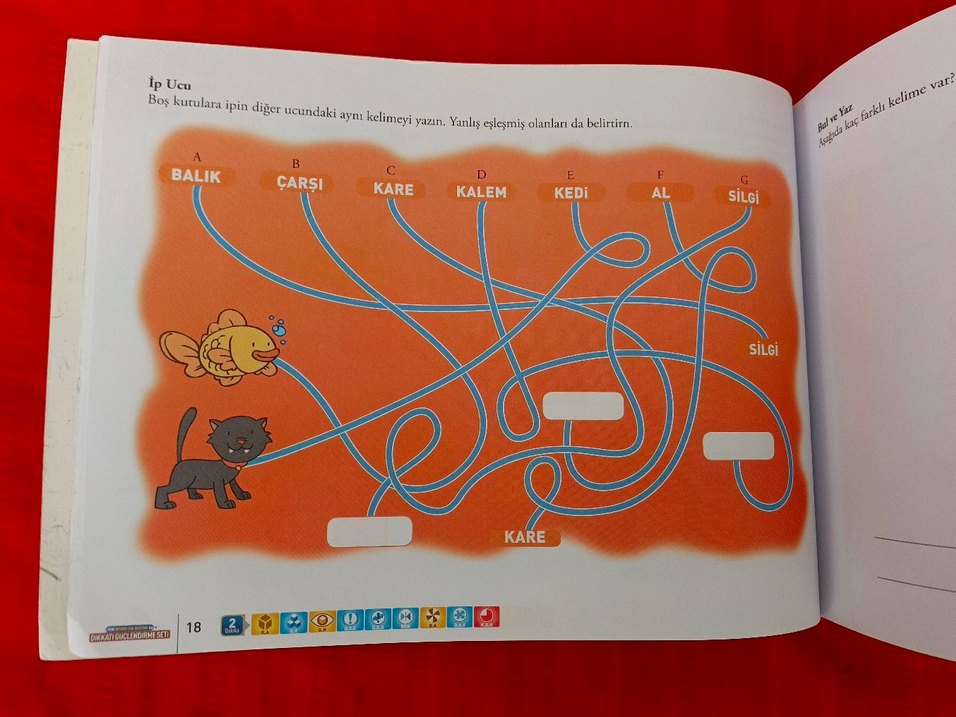 Dikkati Güçlendirme Seti DGS MIXT - Görsel 3