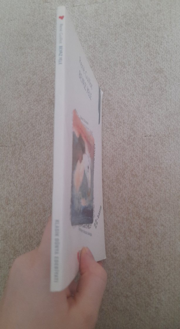 Beyaz Yele - René Guillot - Görsel 3