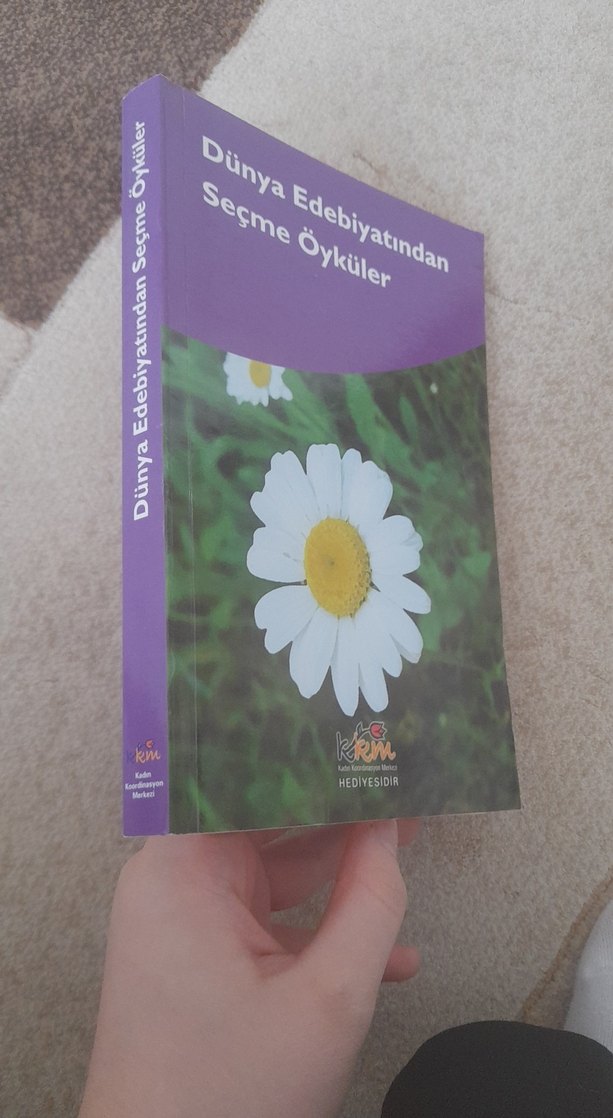 Dünya Edebiyatından Seçme Öyküler Kitabı - Görsel 3