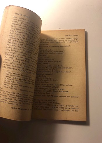 Ahmet Rasim - Hayatı Sanatı Eseri Kitabı - Görsel 4