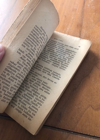 Dişi Kedi - Colette - Görsel 4