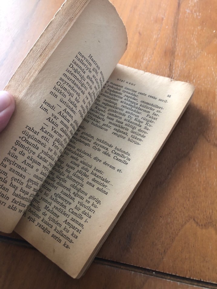 Dişi Kedi - Colette - Görsel 4