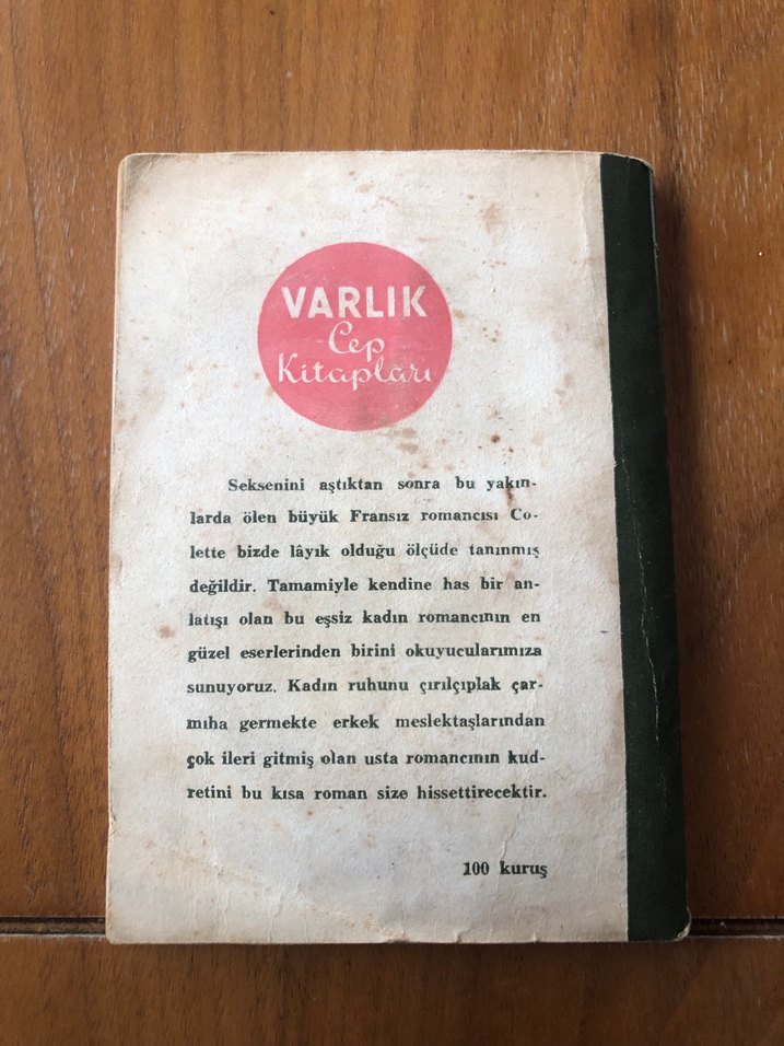 Dişi Kedi - Colette - Görsel 2