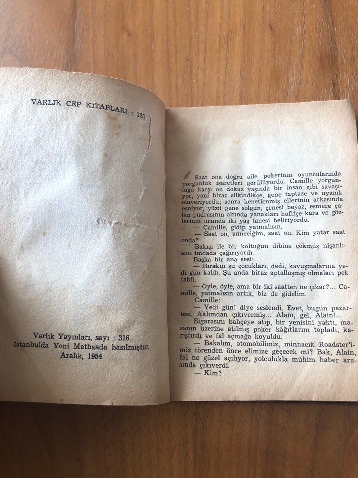 Dişi Kedi - Colette - Görsel 3